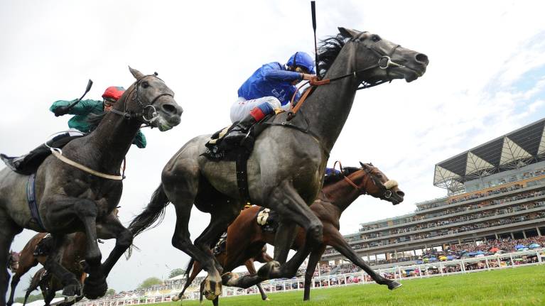 Dubai Duty Free Shergar Cup