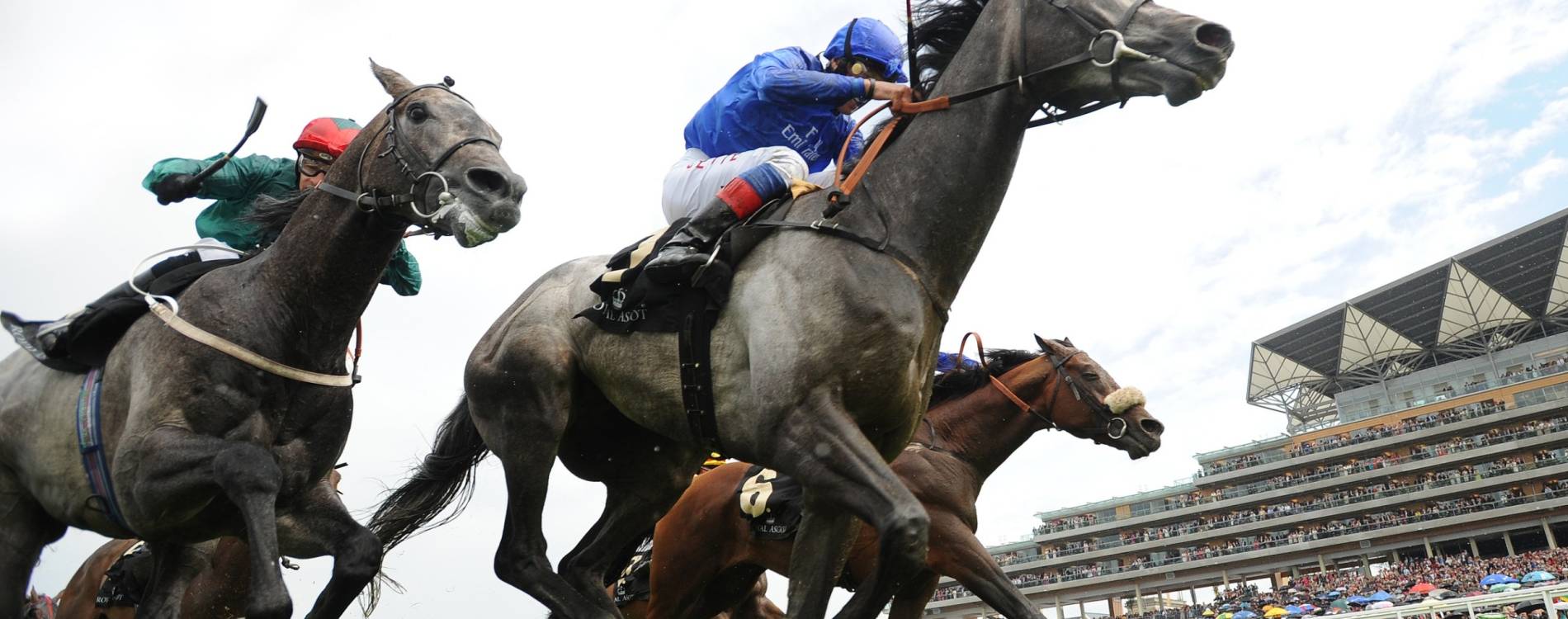 Looking at the horses at Ascot