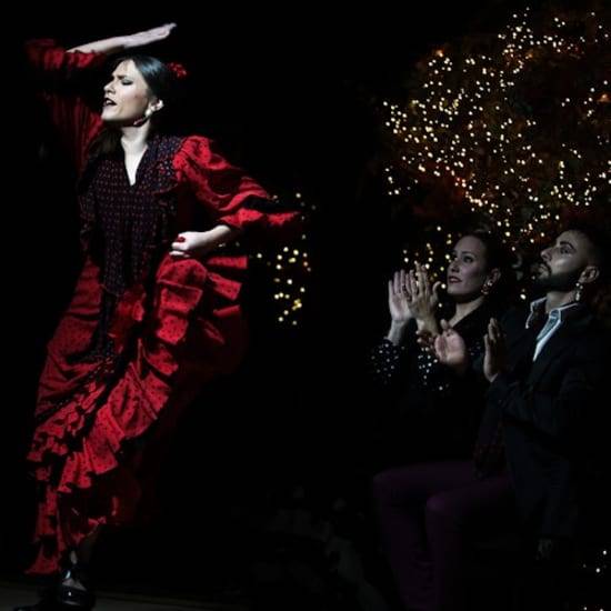 Madrid: Espectáculo flamenco en Tablao Torres Bermejas