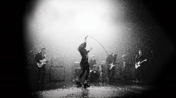 Marmozets