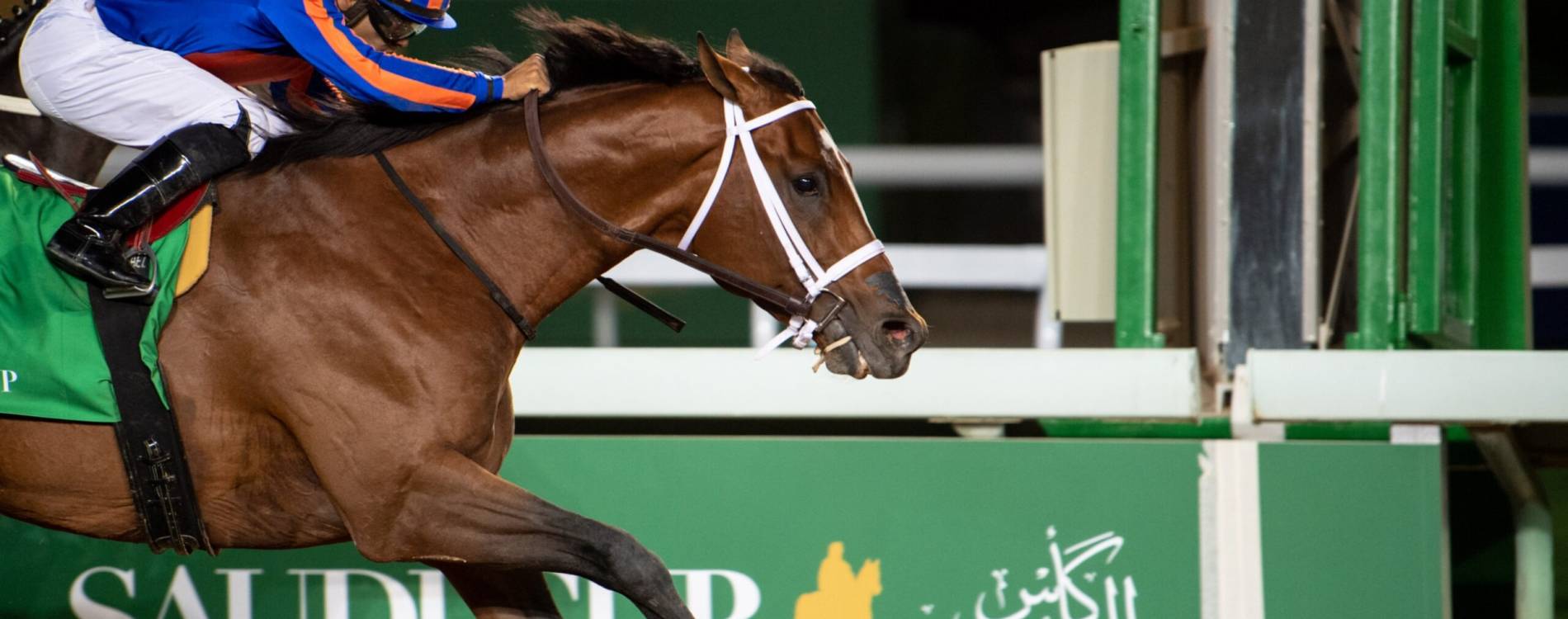 Maximum-Security-Saudi-Cup-Jockey-Club-of-Saudi-Arabia