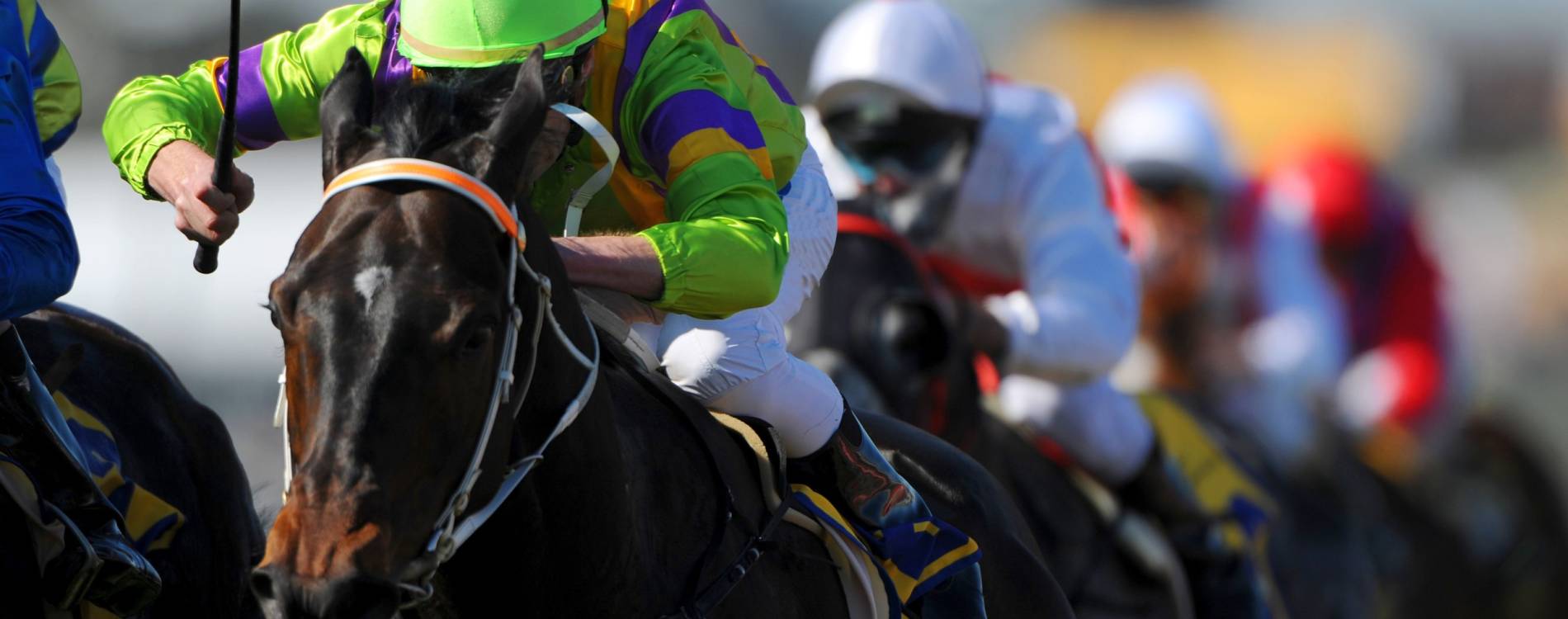 Melbourne Cup Carnival