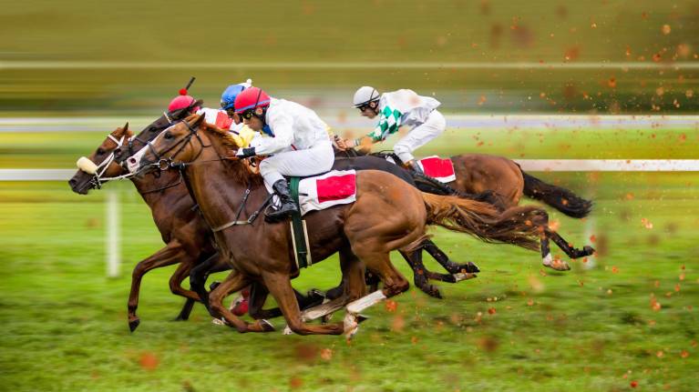 VRC Members Race Day