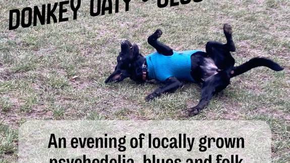 Mind Frog + Donkey Oaty + Glossolalia