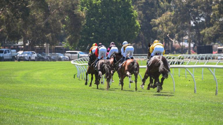 Missile Stakes Day