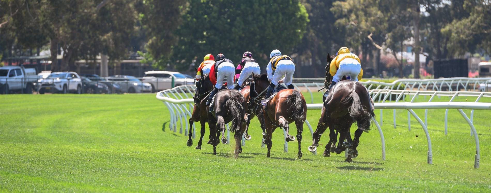 Missile Stakes Day