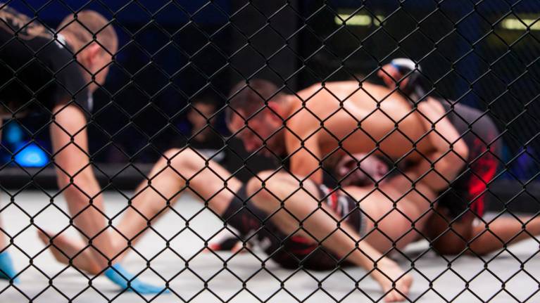 UFC Fight Night: Hernandez vs Rodrigues