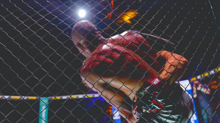 UFC 332