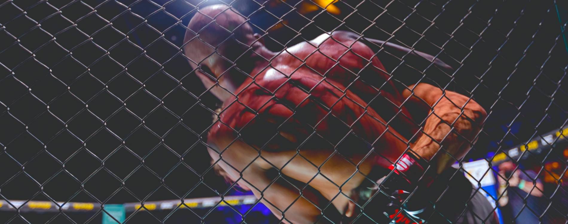 MMA fighters grapple in the cage