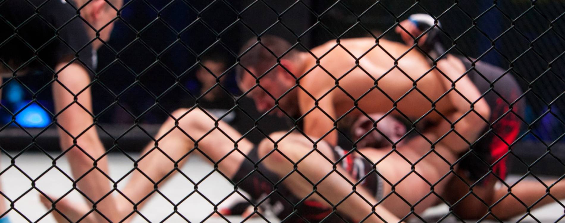 MMA fighters grapple in the cage