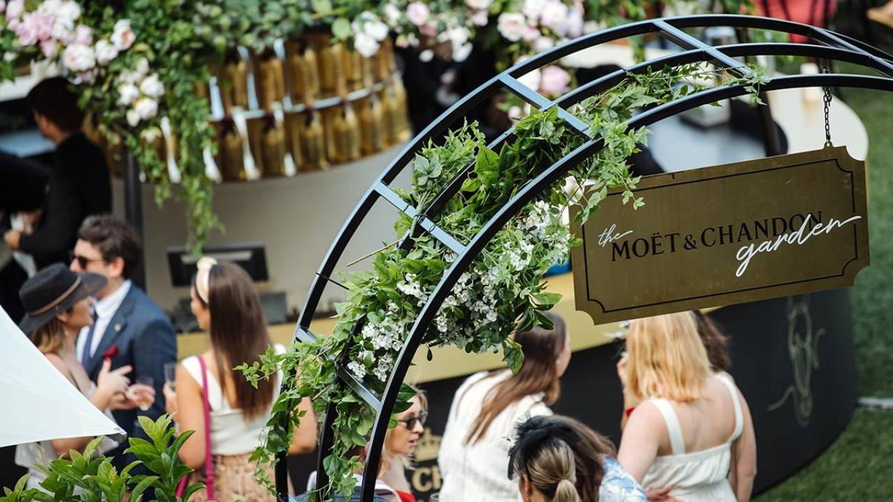 Moet Experience