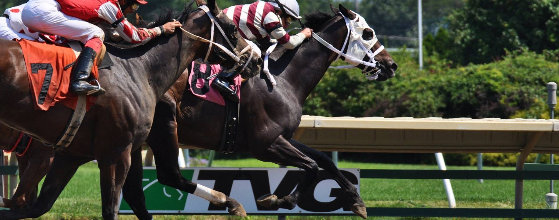 September Saturday Racing Tickets 31 Aug 2024 Monmouth Park Koobit