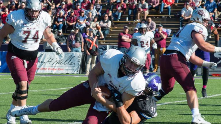 Montana Grizzlies Football