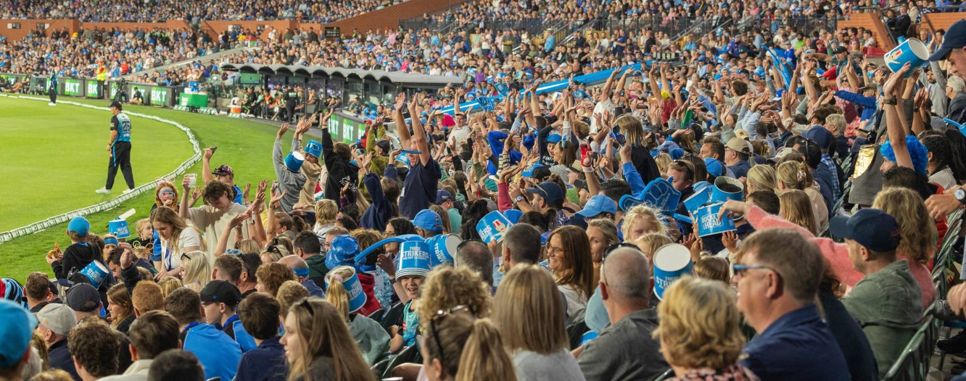 More than 800,000 fans attended BBL games in 2023-24