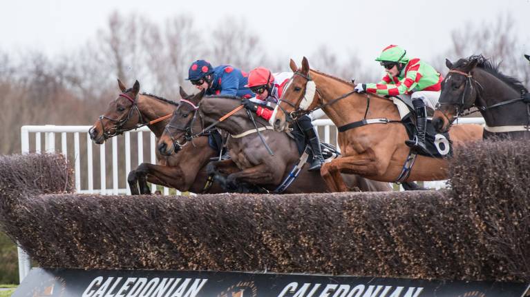 The Start of the Jumps Raceday