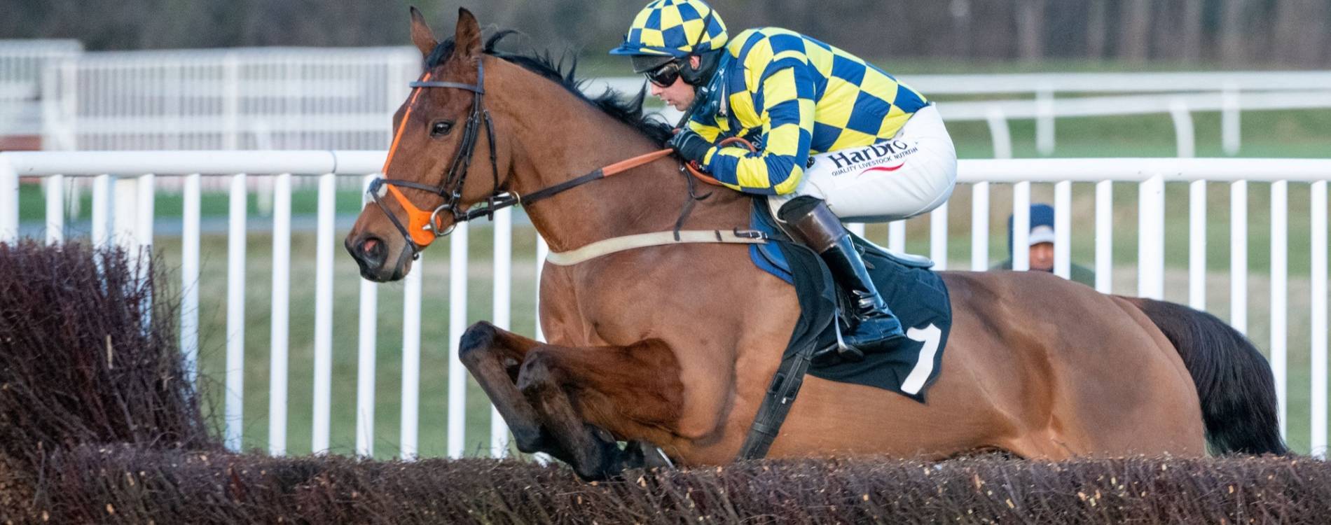 Musselburgh jumps