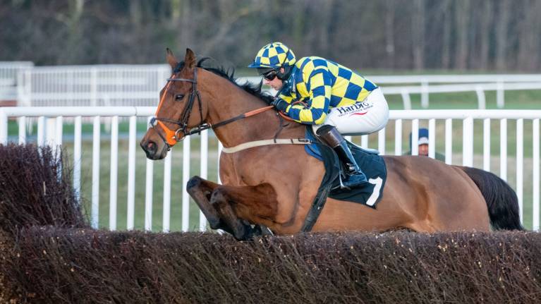 Scottish Cheltenham Trials
