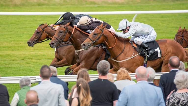 New Year's Day Raceday