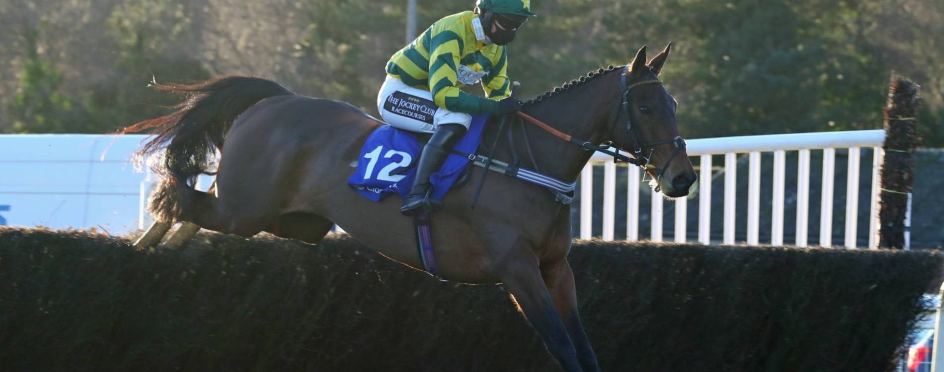 New Years' Racing at Exeter