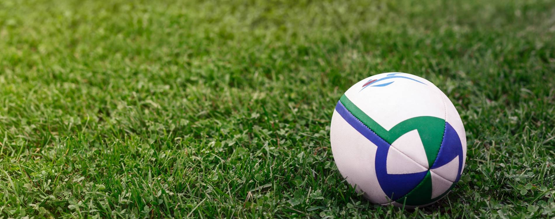 New Zealand Warriors Ticket Guide for the 2024 Season