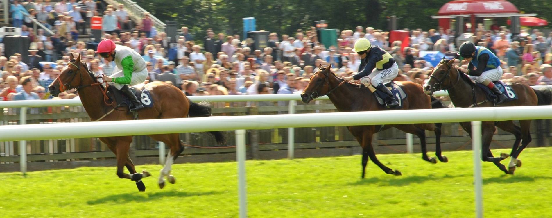 Evening Racing & Summer Saturday Tickets Jul 2024* Newmarket