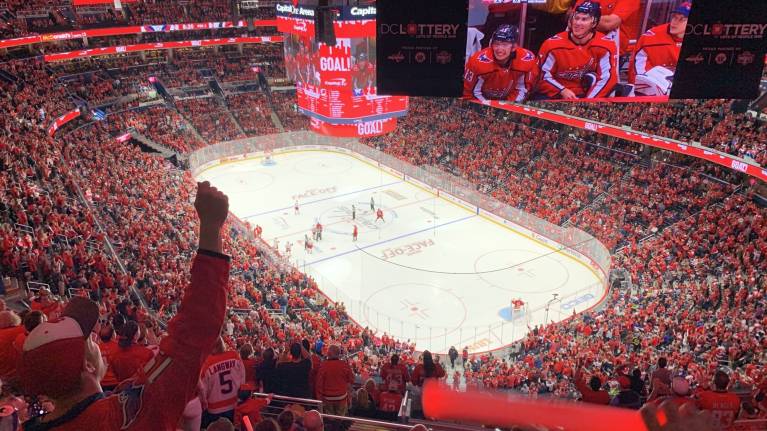 Beginner's Guide to the NHL