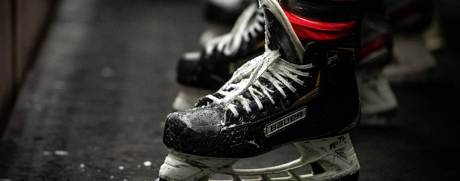 NHL Ready to Return to the Rink