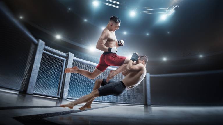 Noche UFC: Rodriguez vs Silva