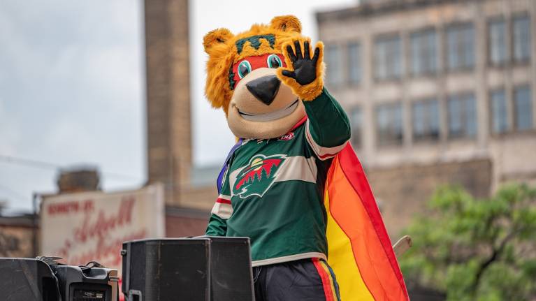 Mascot Face-Off: Your NHL Guide to the Western Conference Mascots