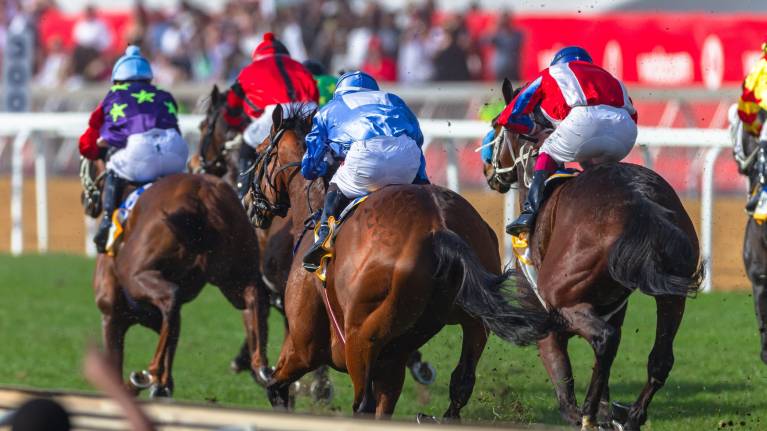 Northumberland Plate Festival
