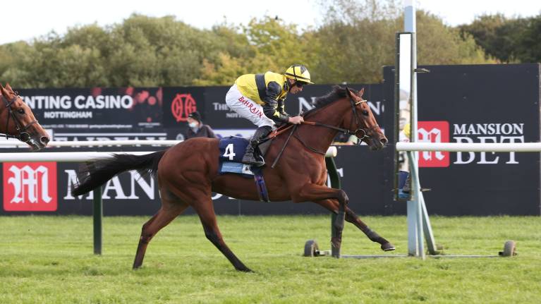 Party Night At The Races - Evening Racing