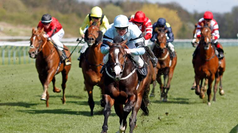 Four-Legged Friends Raceday