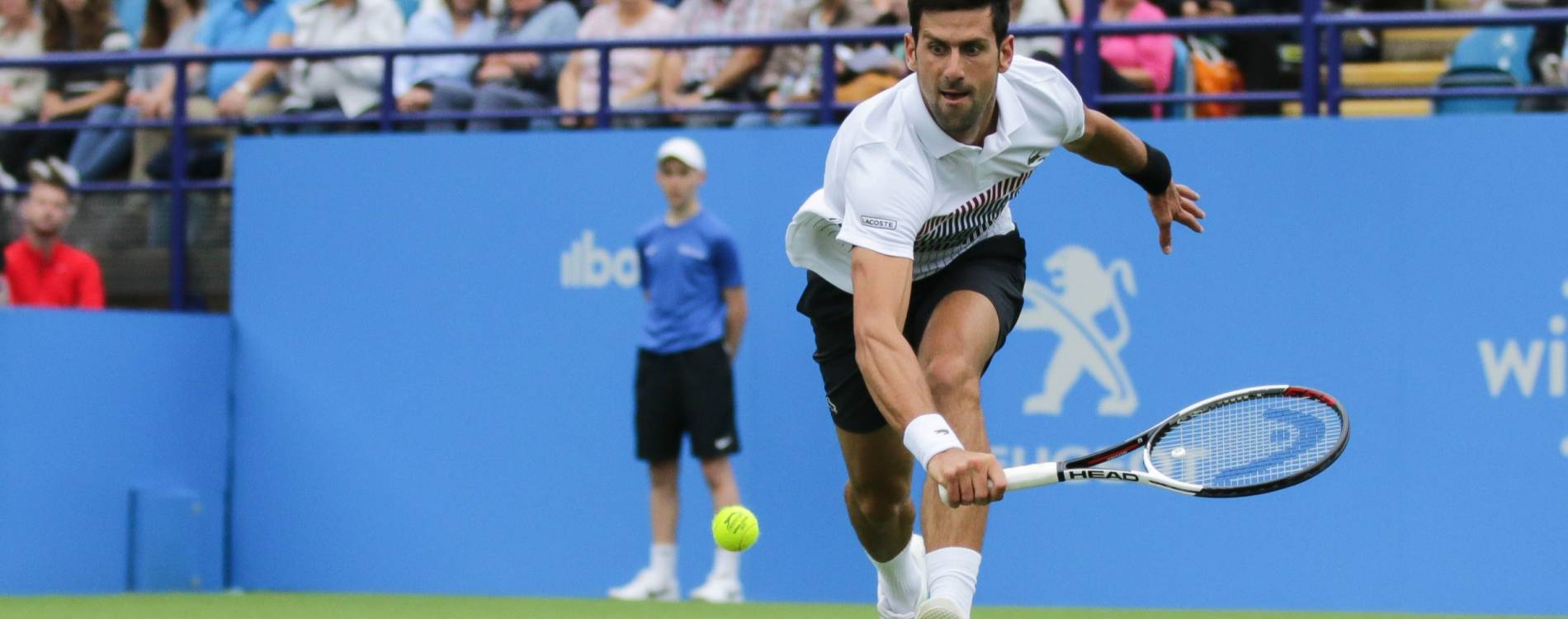 Novak Djokovic in action at the Eastbourne International