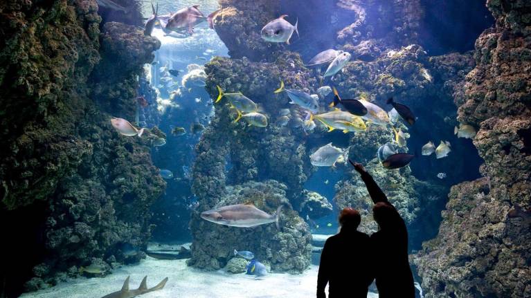 Oceanographic Museum