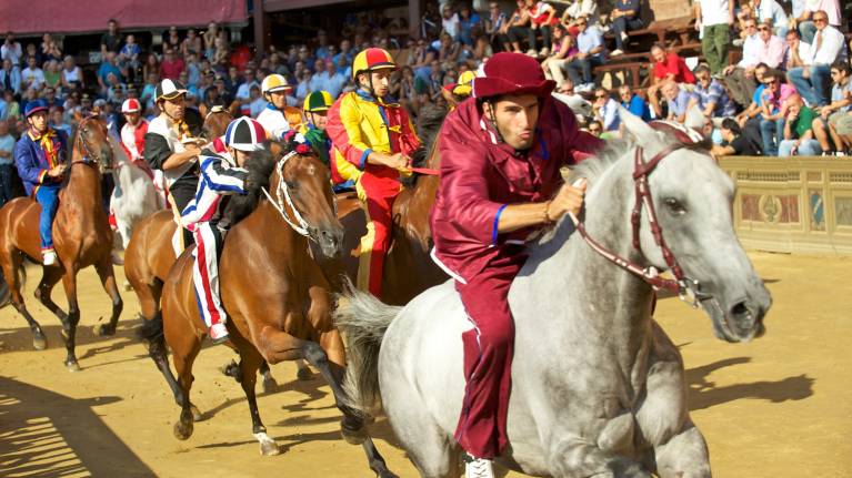 Palio di Siena: Palio dell'Assunta