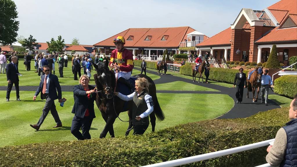 Parade ring at Newmarket's Rowley Mile racecourse