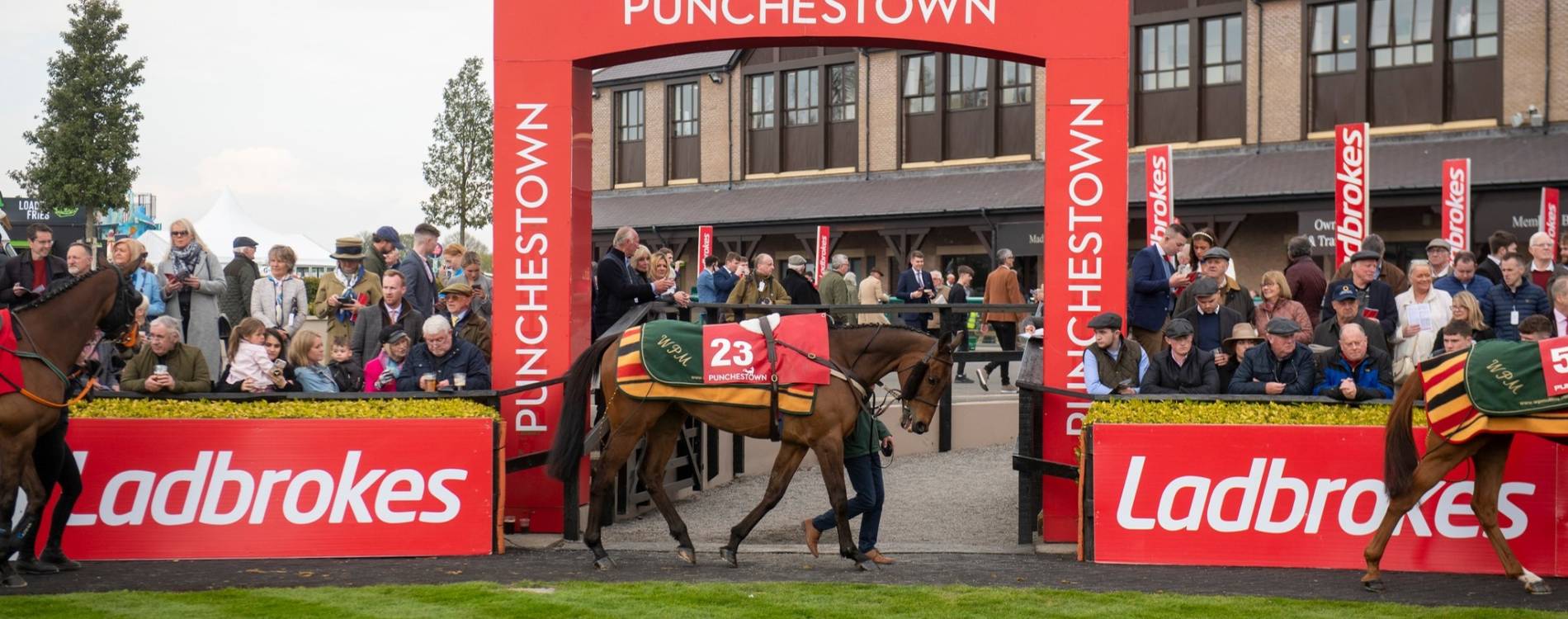 Parade Ring at Punchestown