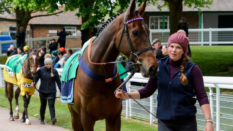 Parade Ring at Sandown