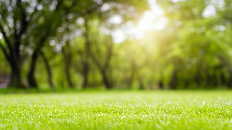 Oregon State Fairgrounds