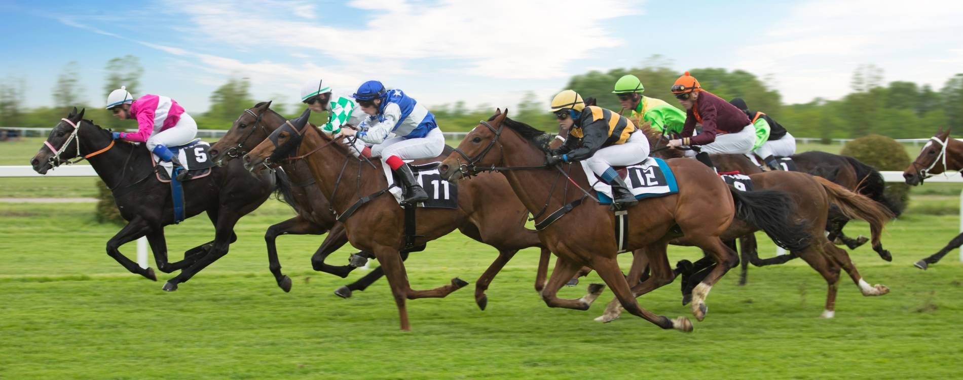 PB Lawrence Stakes