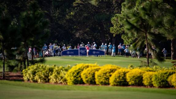 Pelican Golf Club Grounds