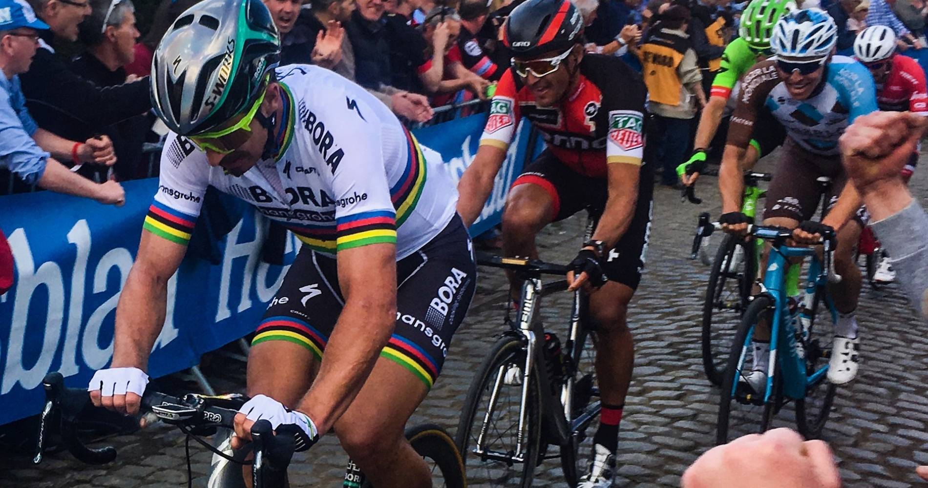 Peter Sagan at Tour of Flanders