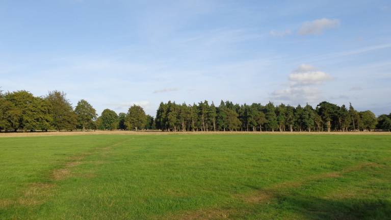 Phoenix Park