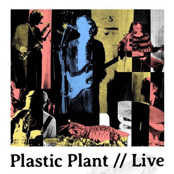 Plastic Plant