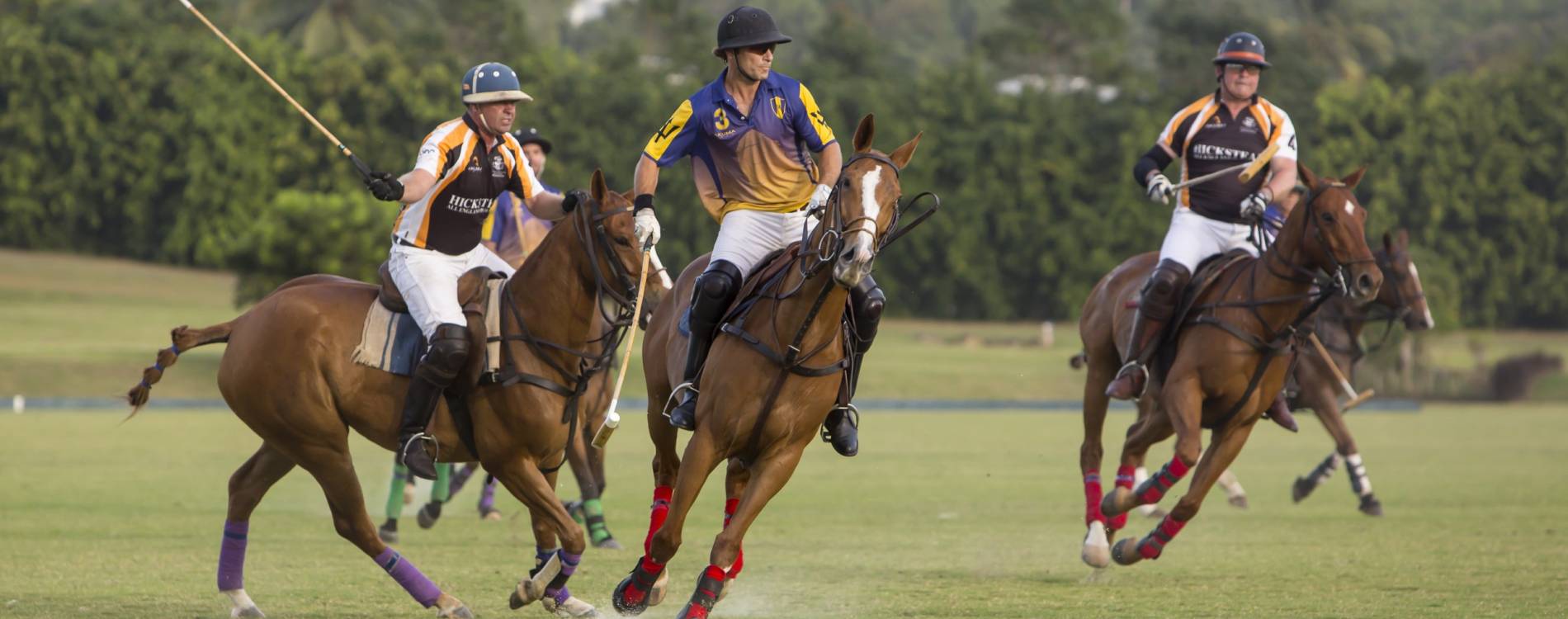 Polo at Apes Hill Polo Club