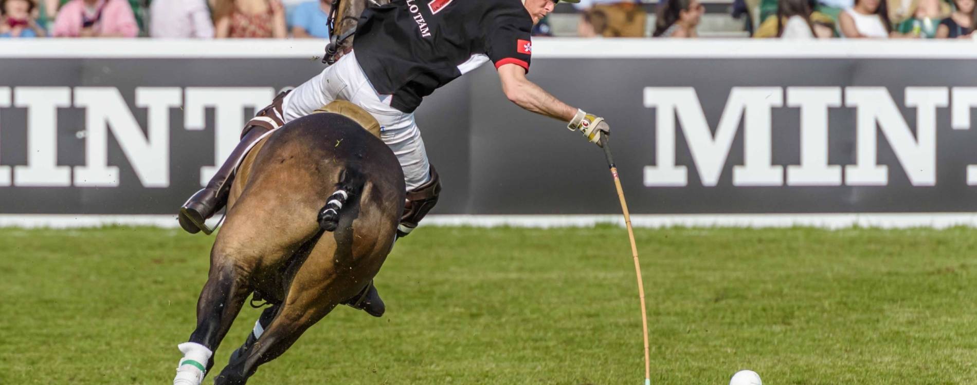 Polo in the Park
