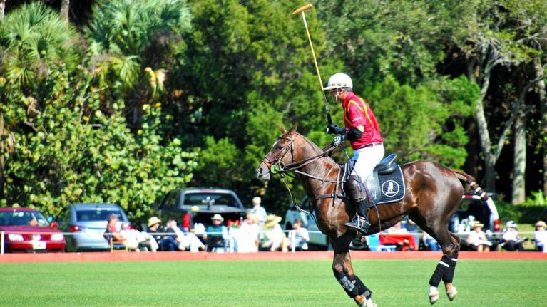 Pukka Chukka & Tucker: Aussie Cities Welcome Back Urban Polo