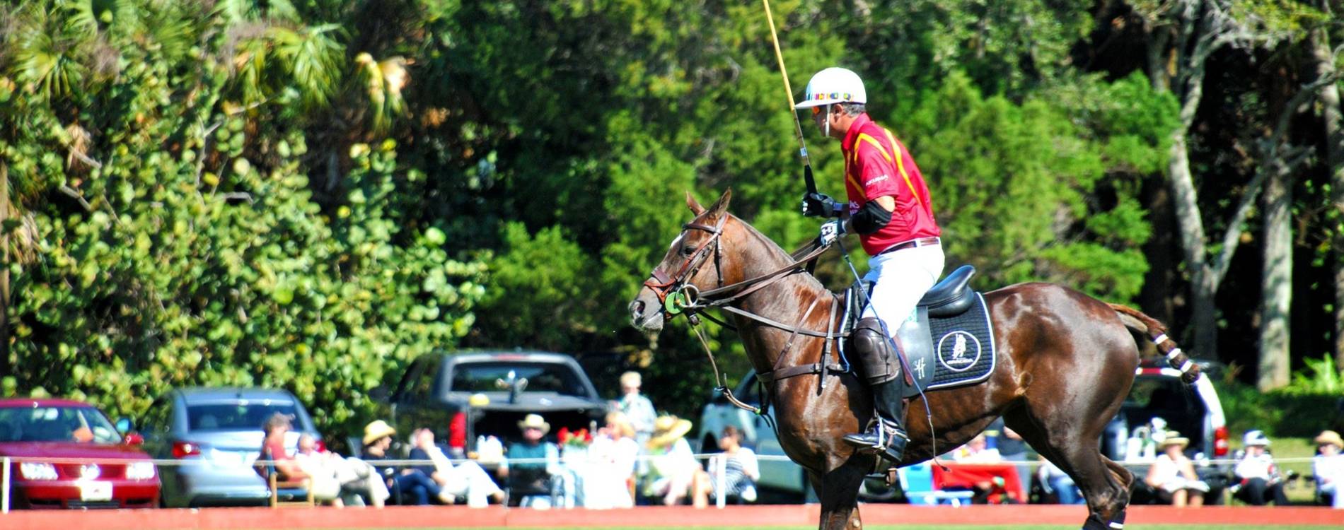 trickers polo chukka