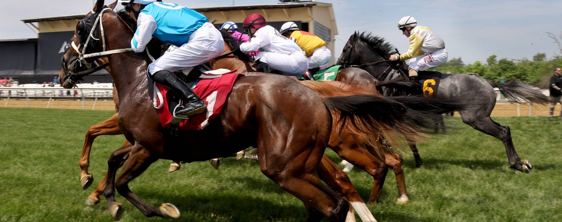 Preakness Stakes