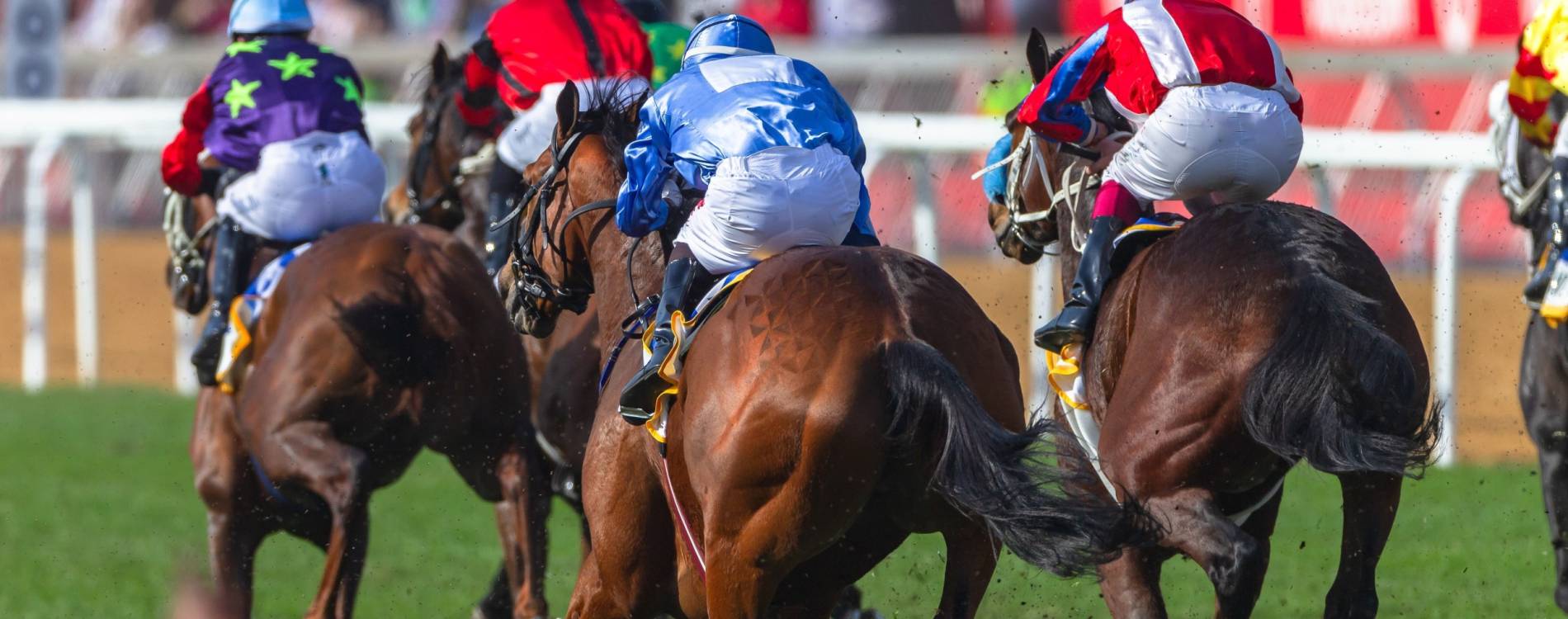 Prince Mohd. Ben Saud Alkabeer Cup Race Night